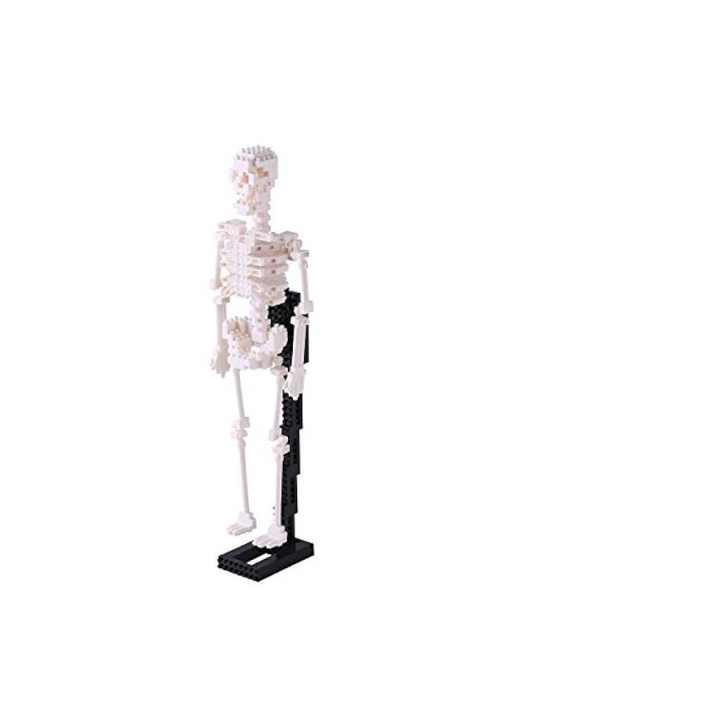 Nanoblock NBM-014 HUMAN SKELETON