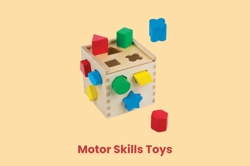 Motor Skills Toys