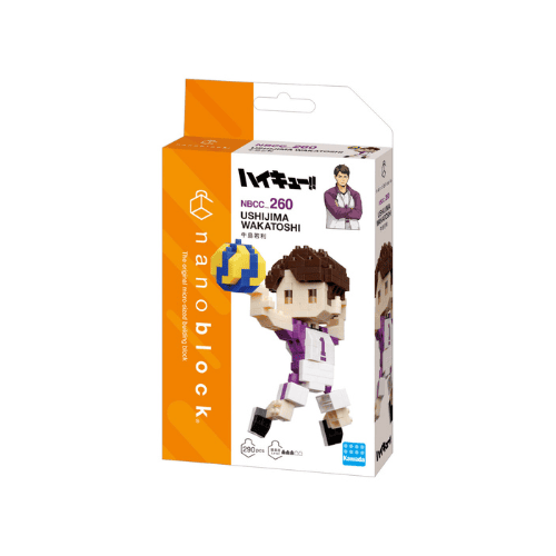 nanoblock Haikyu!! Ushijima Wakatoshi (1)
